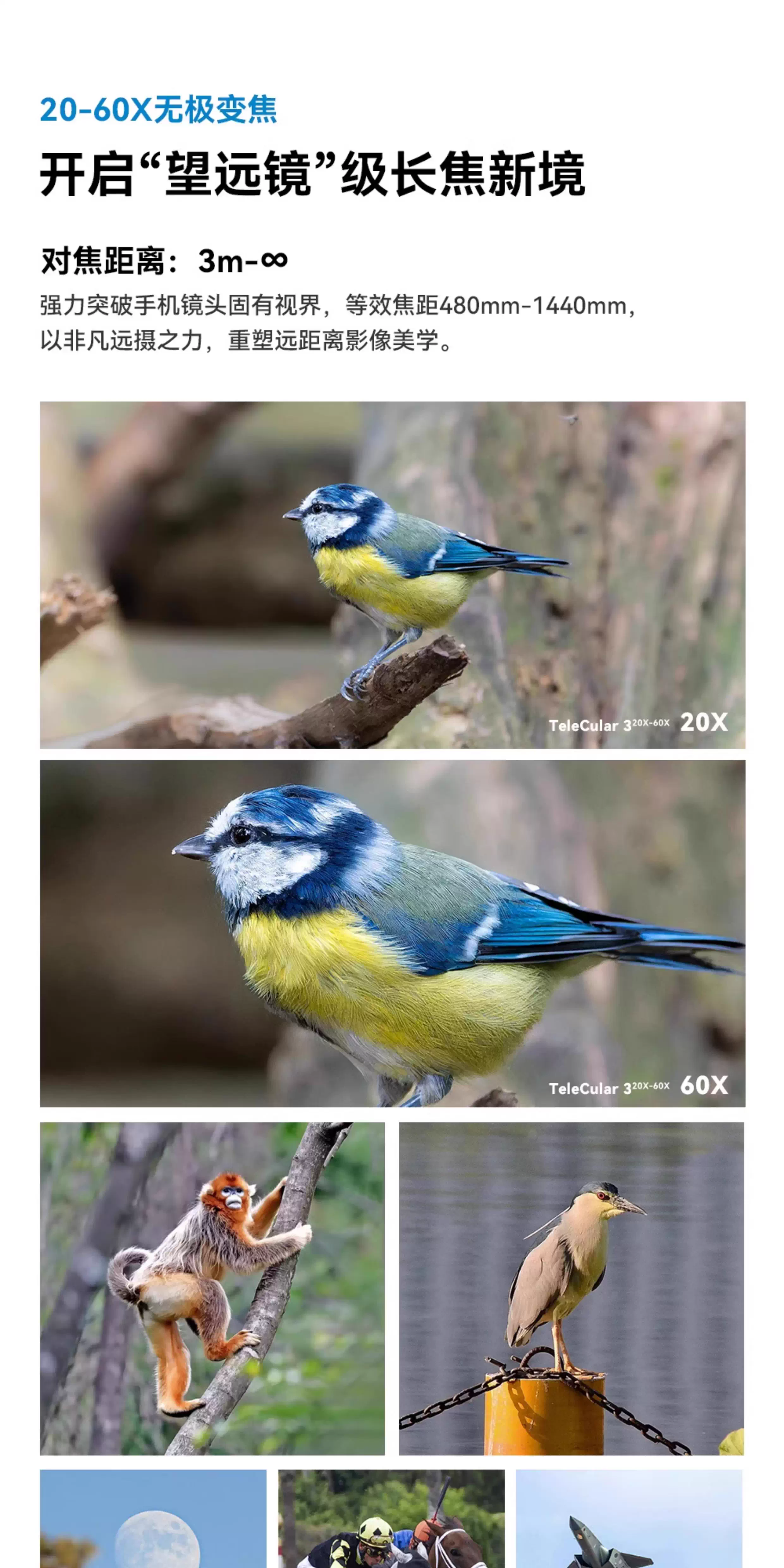 APEXEL 20-60X zoom external telephoto lens for mobile phones